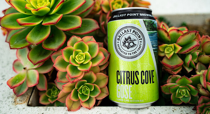 SliderImage_CitrusCoverBottomRight-1