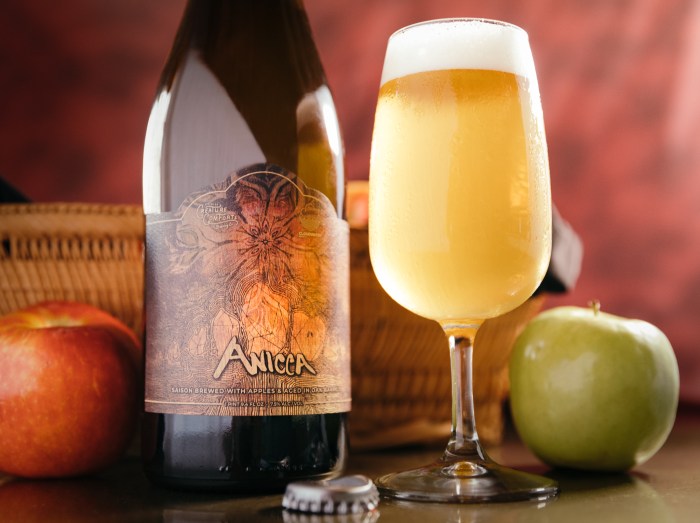 CCBC_AniccaStillWeb--10