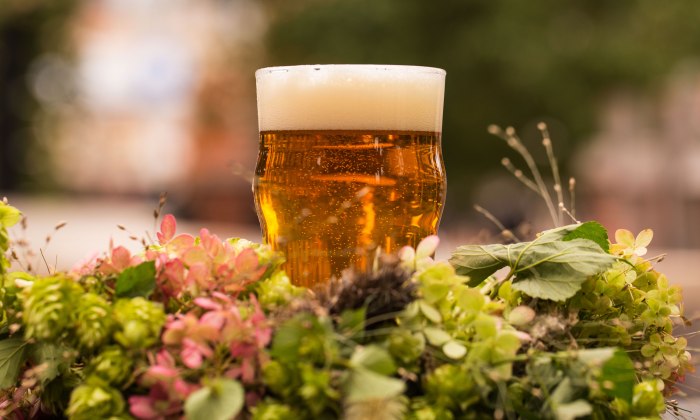 harvest_crown_fbtwitter_2