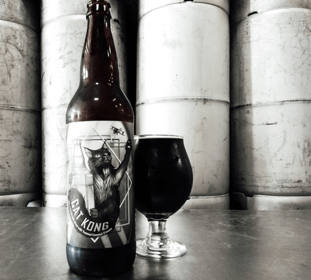 HiddenSpringsCatKong2