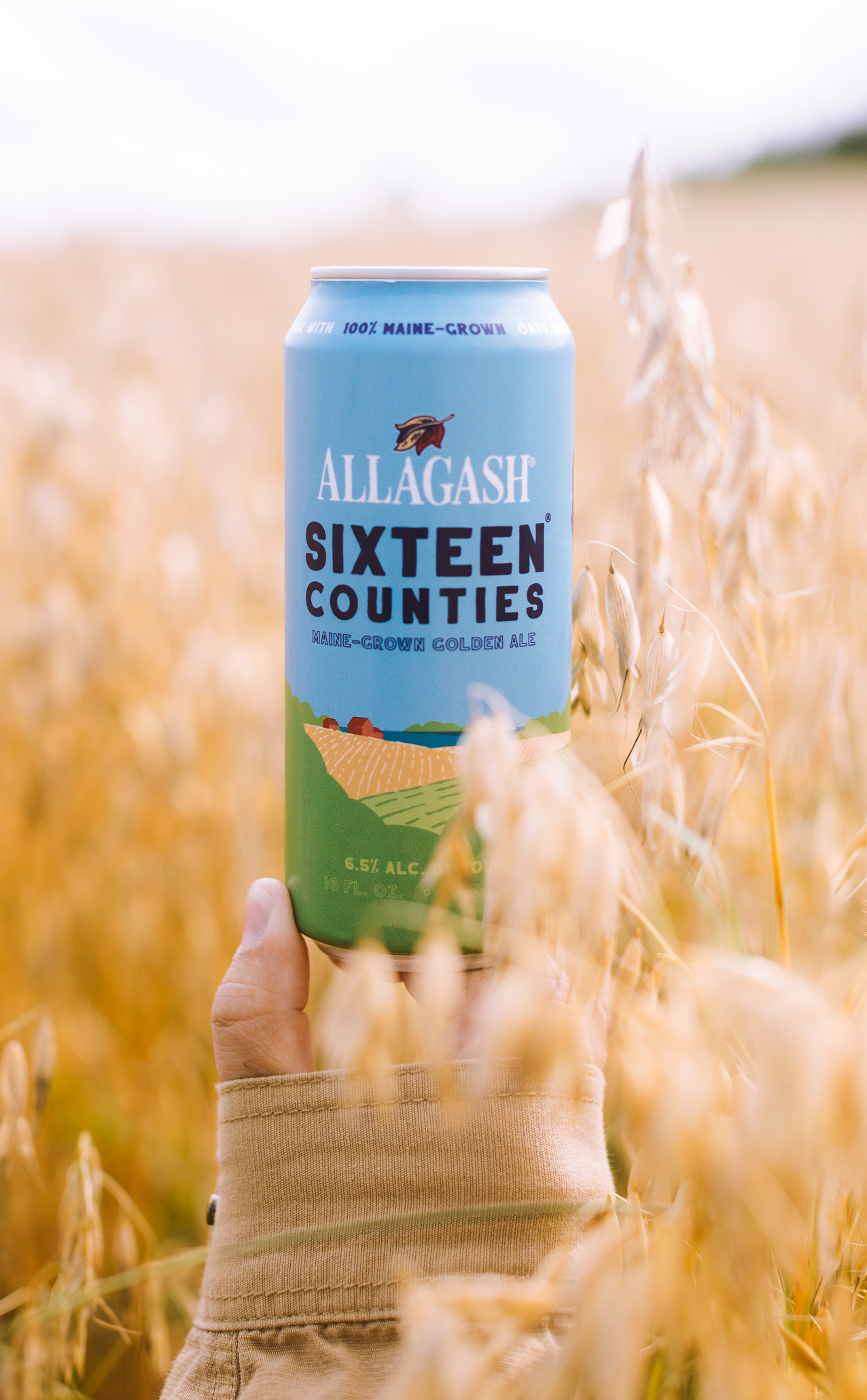 sixteen counties -1-4