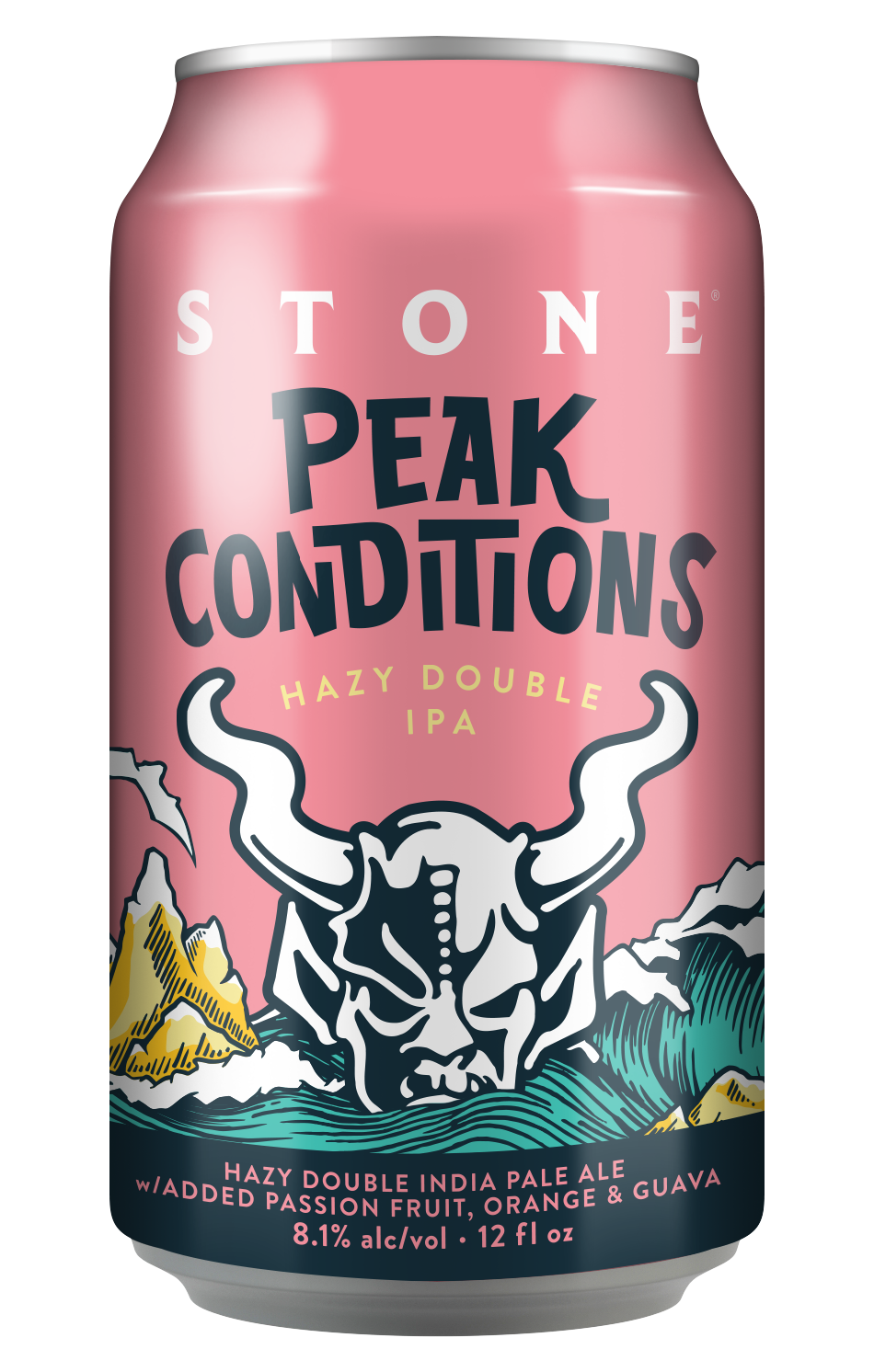 2020_PeakConditions_12ozCanMock